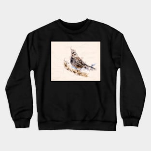 Dark Eyed Junco Watercolor Crewneck Sweatshirt